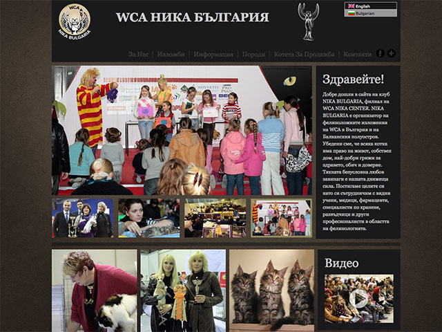 World Cat Association
