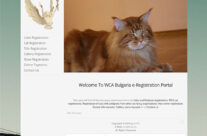 WCA Online Registration